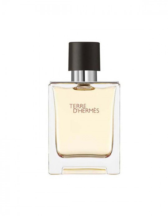 Hermes Terre D'Hermes Edt 100 ML Erkek Parfüm