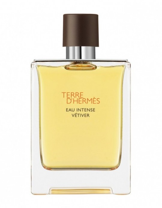 Hermes Terre D'Hermes Eau Intense Vetiver EDP 100 ml Erkek Parfüm